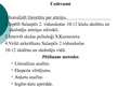 Referāts 'Salaspils 2.vidusskolas 10.-12.klašu skolēnu un skolotāju atmiņas stāvoklis un t', 30.