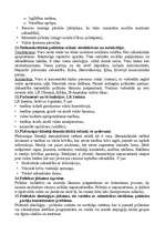 Konspekts 'Eksāmena jautājumi un atbildes politoloģijā', 4.