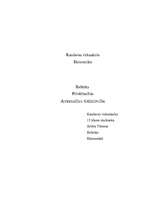 Referāts 'Automašīnu tirdzniecība', 1.