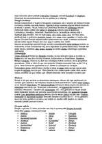 Konspekts 'Eiropas apraksts', 3.