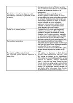 Konspekts 'Izvērstā nodarbība ar dominanti - tēlotājdarbība', 4.