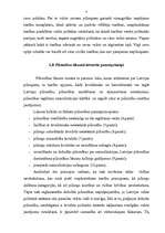 Referāts 'Cilvēktiesības', 4.