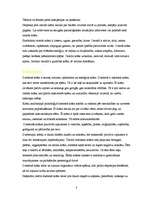 Konspekts 'Vecāku un bērnu krāsu gaume rotaļlietu izvēlē', 8.