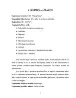 Biznesa plāns 'Biznesa plāns un jauna uzņēmuma dibināšanas stratēģija', 5.