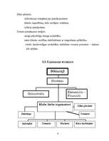 Biznesa plāns 'Biznesa plāns un jauna uzņēmuma dibināšanas stratēģija', 9.
