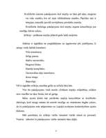 Biznesa plāns 'Biznesa plāns un jauna uzņēmuma dibināšanas stratēģija', 11.