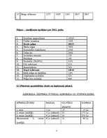 Biznesa plāns 'Biznesa plāns un jauna uzņēmuma dibināšanas stratēģija', 17.