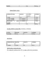 Biznesa plāns 'Biznesa plāns un jauna uzņēmuma dibināšanas stratēģija', 18.