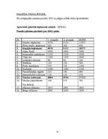 Biznesa plāns 'Biznesa plāns un jauna uzņēmuma dibināšanas stratēģija', 19.