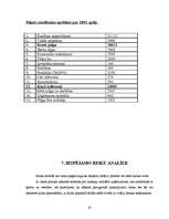 Biznesa plāns 'Biznesa plāns un jauna uzņēmuma dibināšanas stratēģija', 20.