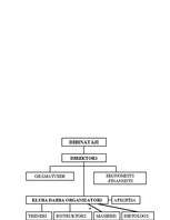 Biznesa plāns 'Biznesa plāns un jauna uzņēmuma dibināšanas stratēģija', 26.