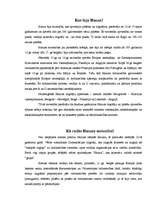 Referāts 'Hanzas savienības mantojums Rīgas pilsētas attīstībā', 3.