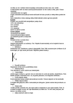 Konspekts 'Masu komunikācija', 6.