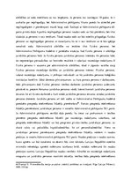 Referāts 'Naudas soda jēdziens un funkcijas administratīvā pārkāpuma lietās', 26.