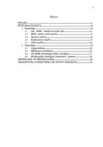 Referāts 'SIA "Hikko" mārketinga vides un stratēģijas analīze un darbības plānošana', 2.