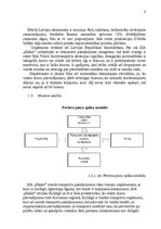 Referāts 'SIA "Hikko" mārketinga vides un stratēģijas analīze un darbības plānošana', 8.