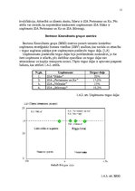 Referāts 'SIA "Hikko" mārketinga vides un stratēģijas analīze un darbības plānošana', 11.