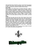 Referāts 'Ādas slimības', 6.