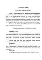 Referāts 'Vārāmā sāls un tauku noteikšana kartupeļu čipsos', 8.