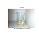 Referāts 'Vārāmā sāls un tauku noteikšana kartupeļu čipsos', 25.