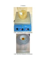 Referāts 'Vārāmā sāls un tauku noteikšana kartupeļu čipsos', 26.