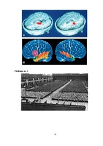 Referāts 'Emocionālas līderības būtība un raksturojums', 21.