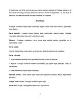 Referāts 'Possibilities of Improving the Recreation Area in Dundaga Secondary School', 4.