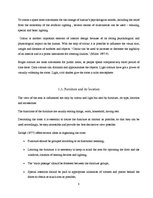 Referāts 'Possibilities of Improving the Recreation Area in Dundaga Secondary School', 8.