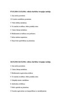 Prakses atskaite 'Kvalifikācijas prakses dienasgrāmata', 4.