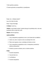 Prakses atskaite 'Kvalifikācijas prakses dienasgrāmata', 8.