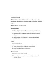 Prakses atskaite 'Kvalifikācijas prakses dienasgrāmata', 13.