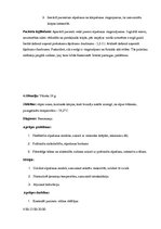 Prakses atskaite 'Kvalifikācijas prakses dienasgrāmata', 14.