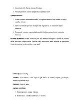 Prakses atskaite 'Kvalifikācijas prakses dienasgrāmata', 17.