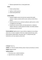 Prakses atskaite 'Kvalifikācijas prakses dienasgrāmata', 18.