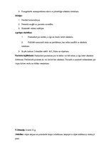 Prakses atskaite 'Kvalifikācijas prakses dienasgrāmata', 19.