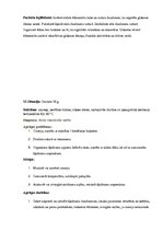 Prakses atskaite 'Kvalifikācijas prakses dienasgrāmata', 26.