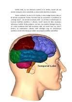 Referāts 'Deja Vu', 15.