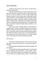 Konspekts 'Sporta un mediju attiecības', 2.