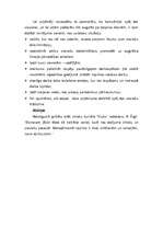 Referāts 'Sieviete pārvaldībā', 5.