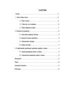 Referāts 'Dekoratīvās kosmētikas ietekme', 2.