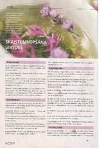 Referāts 'Dekoratīvās kosmētikas ietekme', 13.