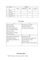 Biznesa plāns 'Biznesa plāns apbedīšanas birojam', 9.