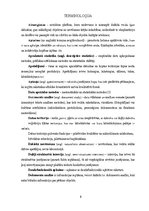 Diplomdarbs 'Olimpisko stadionu arhitektūra', 8.