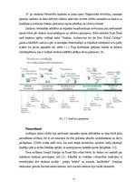 Diplomdarbs 'Olimpisko stadionu arhitektūra', 13.