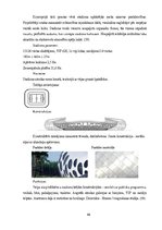 Diplomdarbs 'Olimpisko stadionu arhitektūra', 46.