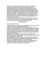 Konspekts 'Kultūras nama mārketinga analīze', 7.