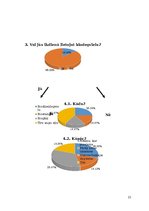 Prezentācija 'Biodegviela', 21.