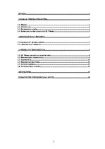 Referāts 'Maksa Vēbera birokrātijas teorija', 2.
