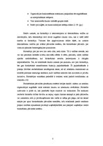 Referāts 'Maksa Vēbera birokrātijas teorija', 8.