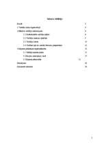 Referāts 'Vadītāja karjeras plānošana', 2.